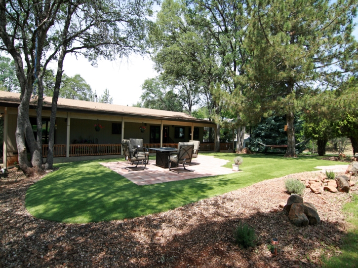 Fake Turf Bear Creek Texas Lawn Back Yard