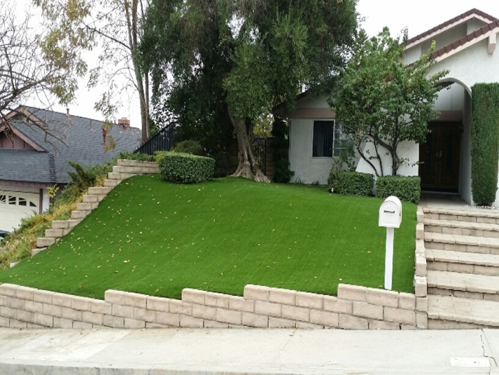 Fake Turf Buckholts Texas Lawn Front Yard