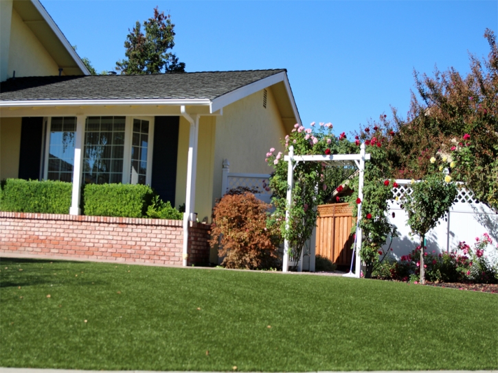 Fake Turf Bulverde Texas Lawn Front Yard