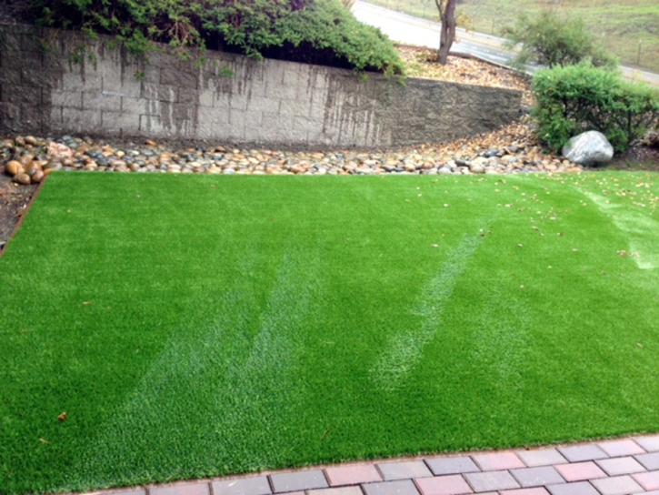 Fake Turf China Grove Texas Lawn Front Yard