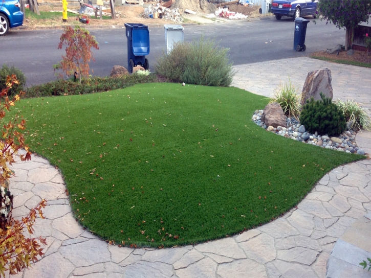 Fake Turf China Grove Texas Landscape