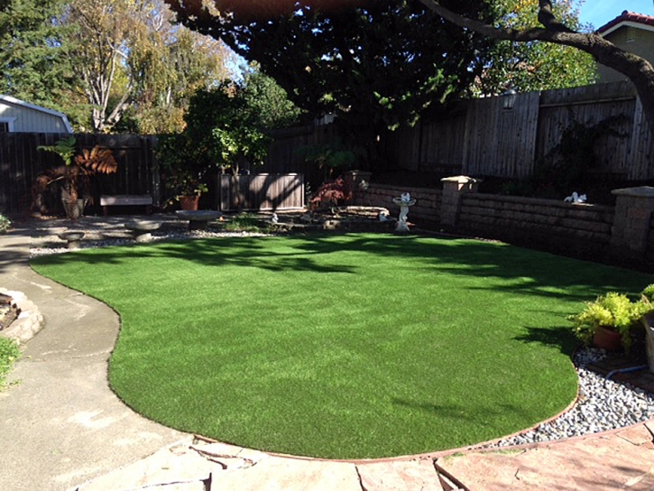 Fake Turf Crawford Texas Landscape Back Yard