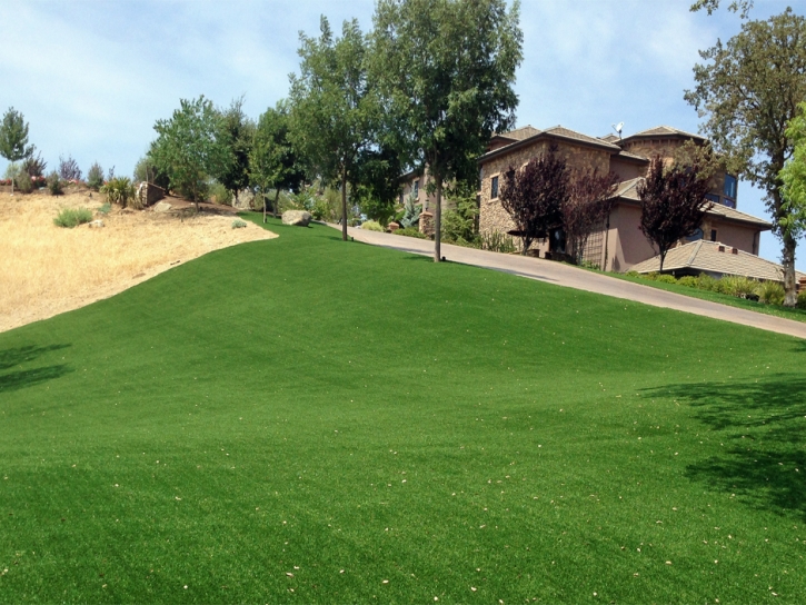 Fake Turf Dripping Springs Texas Lawn Front Yard