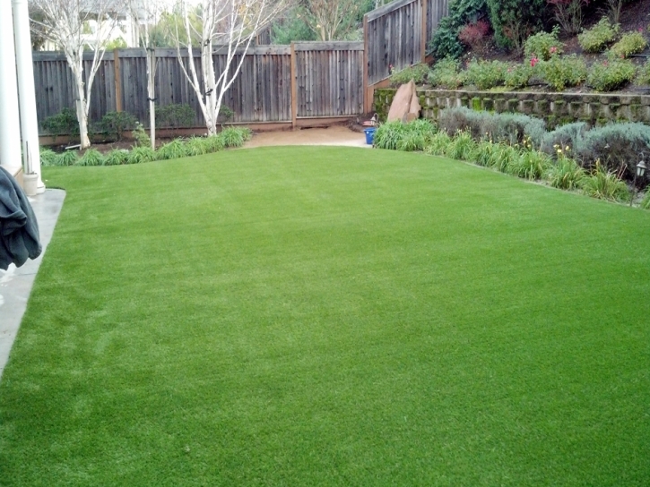 Fake Turf Florence Texas Lawn Back Yard