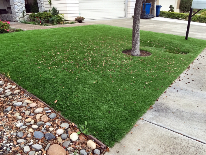 Fake Turf Glidden Texas Lawn Front Yard