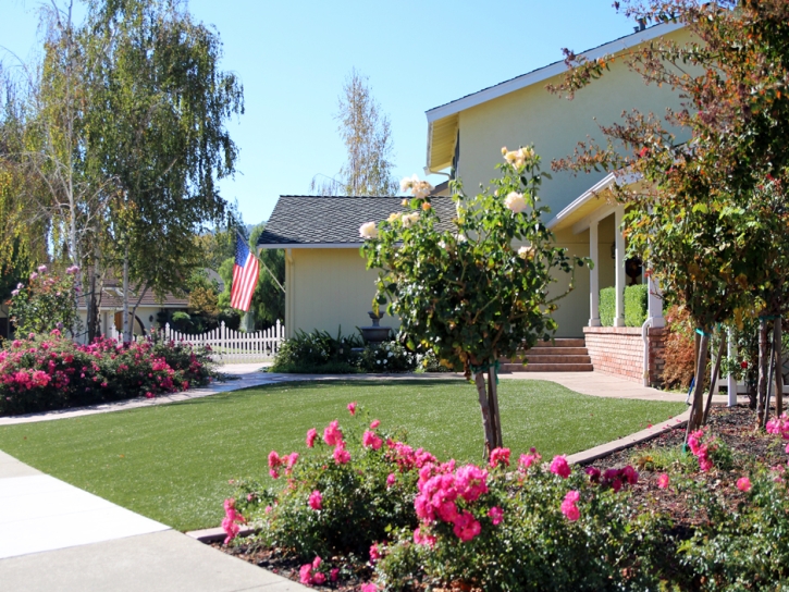 Fake Turf Kempner Texas Lawn Front Yard