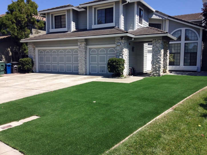 Fake Turf Lago Vista Texas Lawn Front Yard