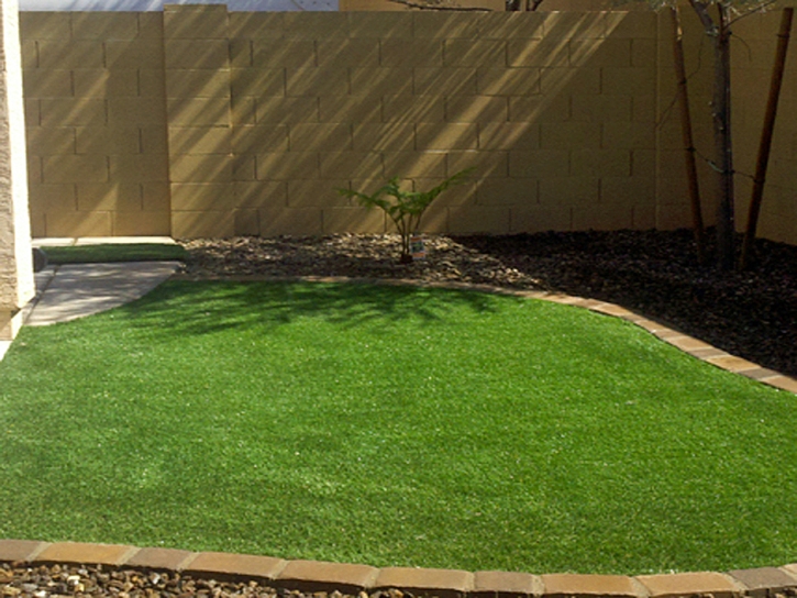 Fake Turf Leon Valley Texas Landscape Back Yard