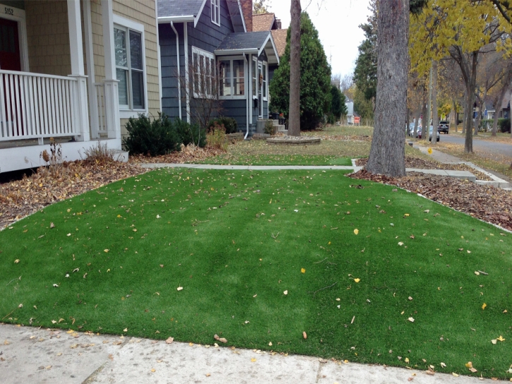 Fake Turf Liberty Hill Texas Lawn Front Yard