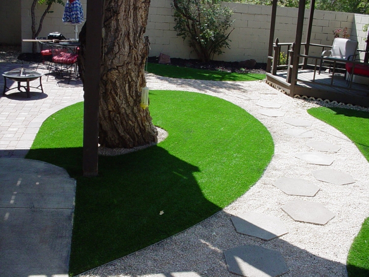 Fake Turf McDade Texas Lawn Back Yard