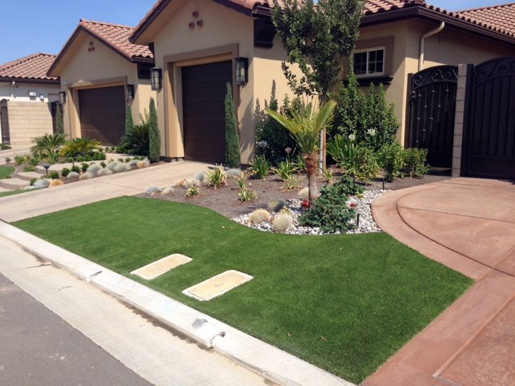 Fake Turf Niederwald Texas Landscape Front Yard