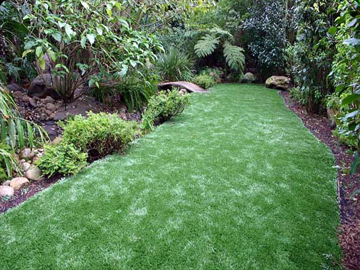 Fake Turf Northcliff Texas Landscape Back Yard