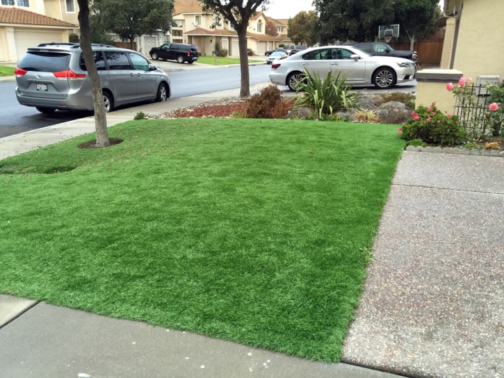 Fake Turf Snook Texas Lawn Front Yard