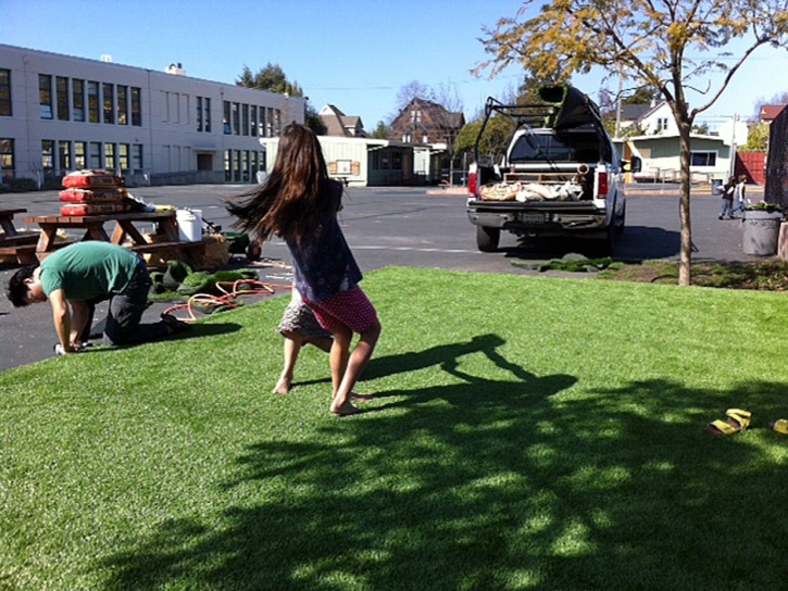 Fake Turf Thrall Texas Lawn Commercial Landscape