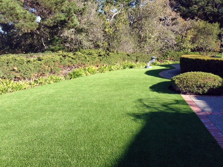 Fake Turf Weir Texas Lawn Front Yard