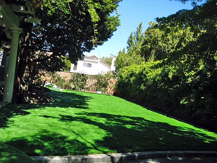 Fake Turf Wells Branch Texas Lawn Back Yard