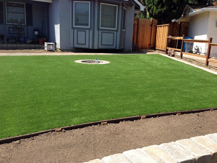 Fake Turf Wimberley Texas Lawn Front Yard