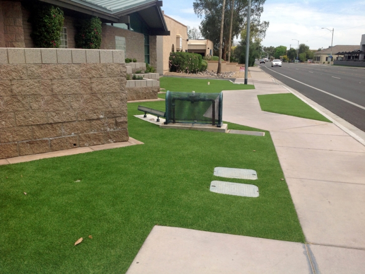 Fake Turf Zuehl Texas Landscape Front Yard