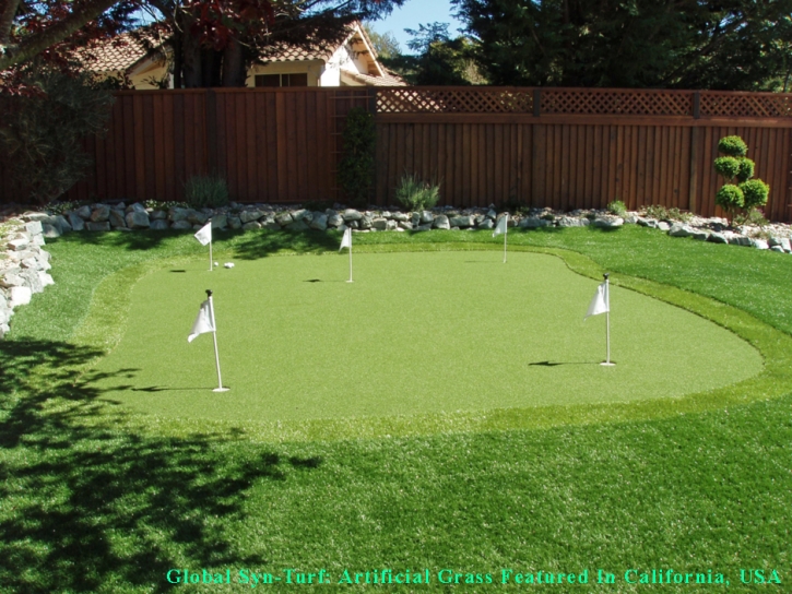 Golf Putting Greens Barton Creek Texas Fake Grass Back Yard