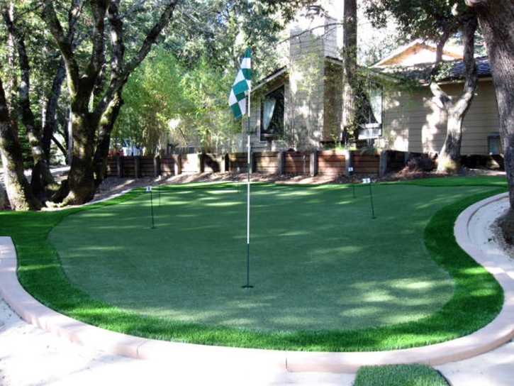 Golf Putting Greens Buchanan Dam Texas Fake Grass Back Yard