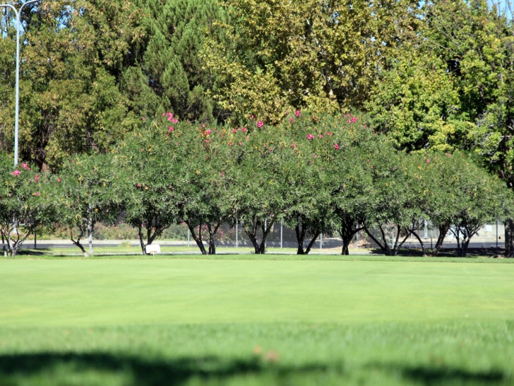 Golf Putting Greens Cibolo Texas Artificial Turf