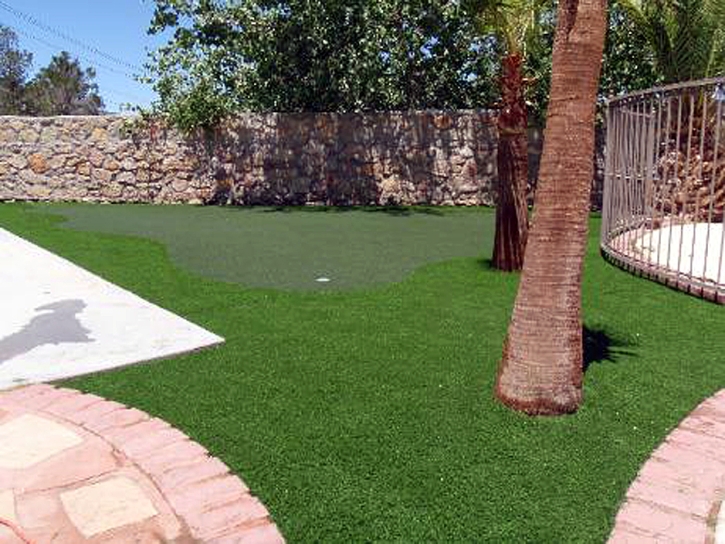 Golf Putting Greens Garden Ridge Texas Fake Grass Back Yard