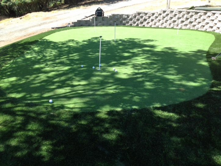 Golf Putting Greens Garfield Texas Synthetic Turf Back Yard