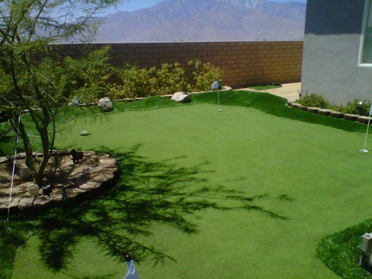 Golf Putting Greens Geronimo Texas Artificial Turf Back