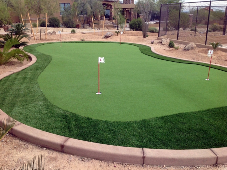 Golf Putting Greens Holland Texas Synthetic Turf Back Yard