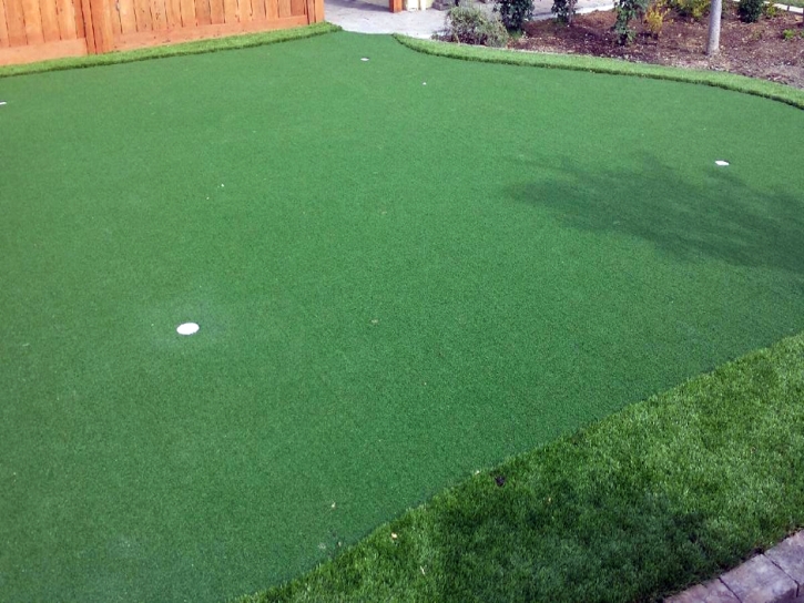 Golf Putting Greens La Vernia Texas Artificial Grass