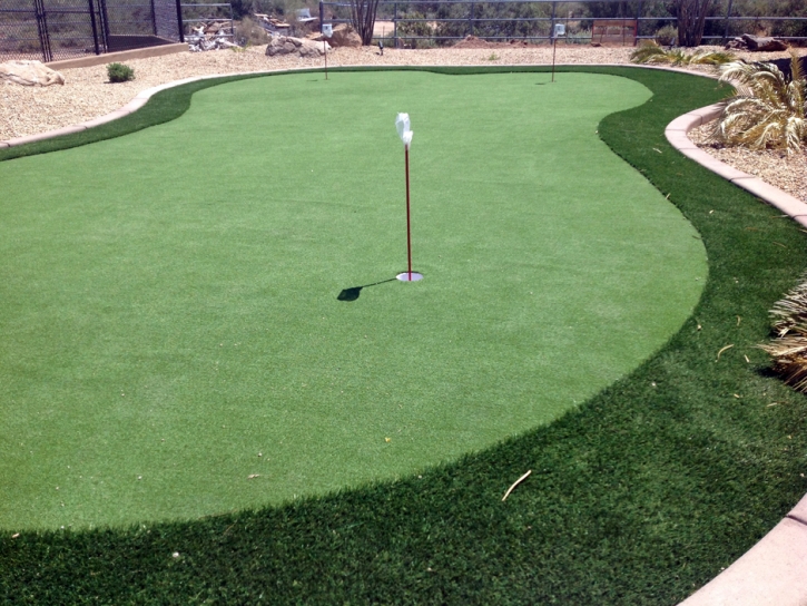 Golf Putting Greens Santa Clara Texas Fake Grass Back Yard