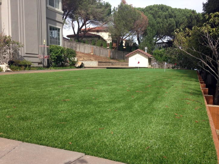 Golf Putting Greens Schertz Texas Synthetic Turf Back Yard