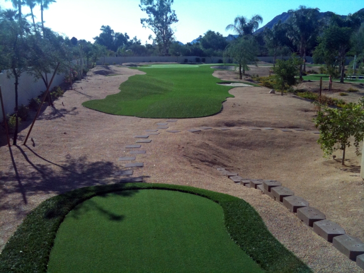 Golf Putting Greens Staples Texas Fake Turf Back Yard