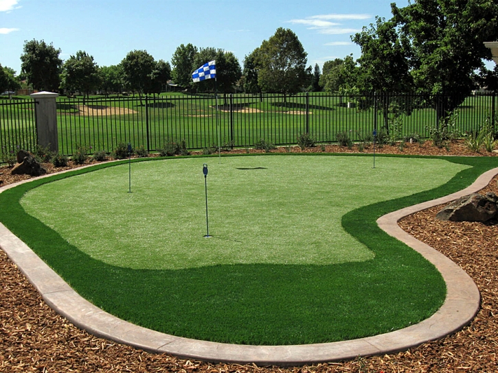 Putting Greens Buchanan Dam Texas Synthetic Turf Back Yard