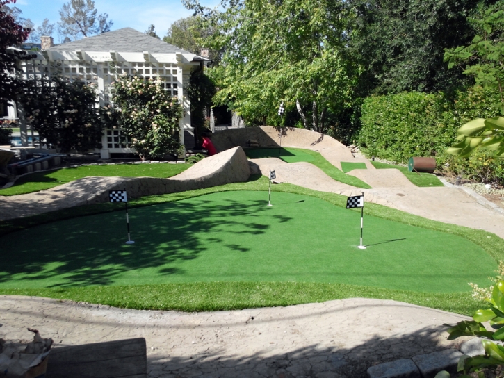 Putting Greens Cibolo Texas Artificial Turf Back Yard