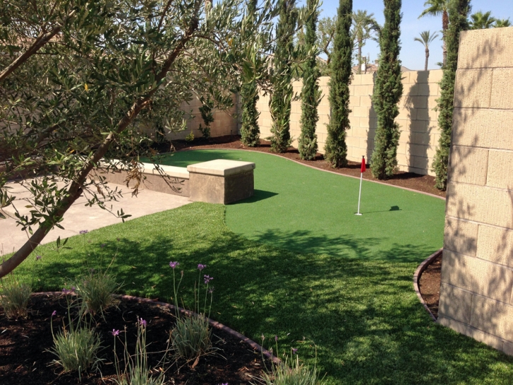 Putting Greens Killeen Texas Synthetic Grass Back Yard