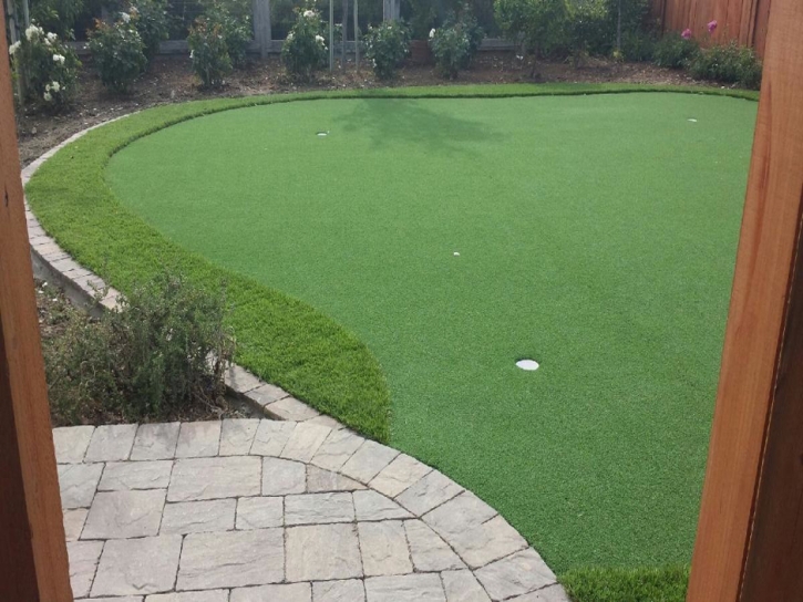 Putting Greens Kirby Texas Fake Grass Back Yard