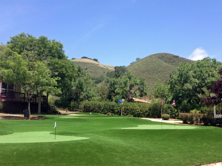 Putting Greens Lago Vista Texas Artificial Turf Front Yard