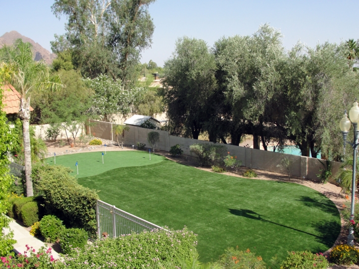 Putting Greens Martindale Texas Fake Grass Back Yard