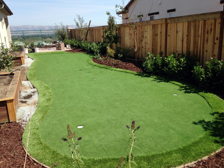 Putting Greens Northcliff Texas Fake Grass Back Yard