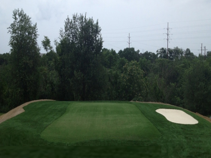 Putting Greens Onion Creek Texas Synthetic Grass Back Yard