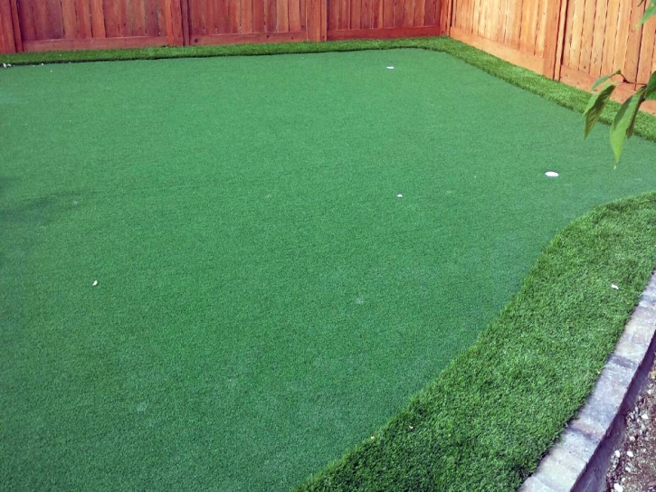 Putting Greens Stockdale Texas Fake Grass Back Yard