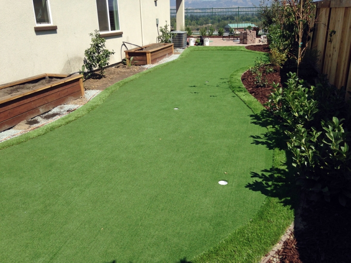 Putting Greens Thorndale Texas Synthetic Grass Back Yard