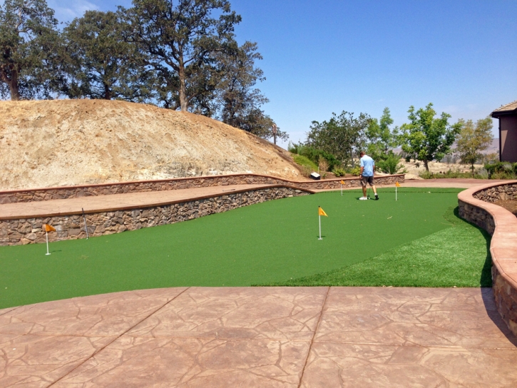 Putting Greens Waelder Texas Synthetic Turf Back Yard