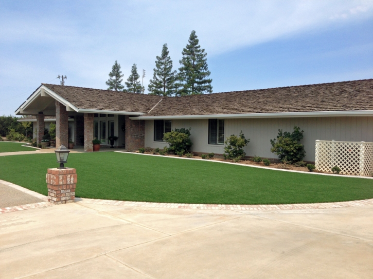 Synthetic Grass Briarcliff Texas Landscape Front Yard