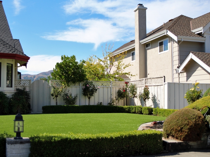 Synthetic Grass Buchanan Lake Village Texas Lawn Front Yard