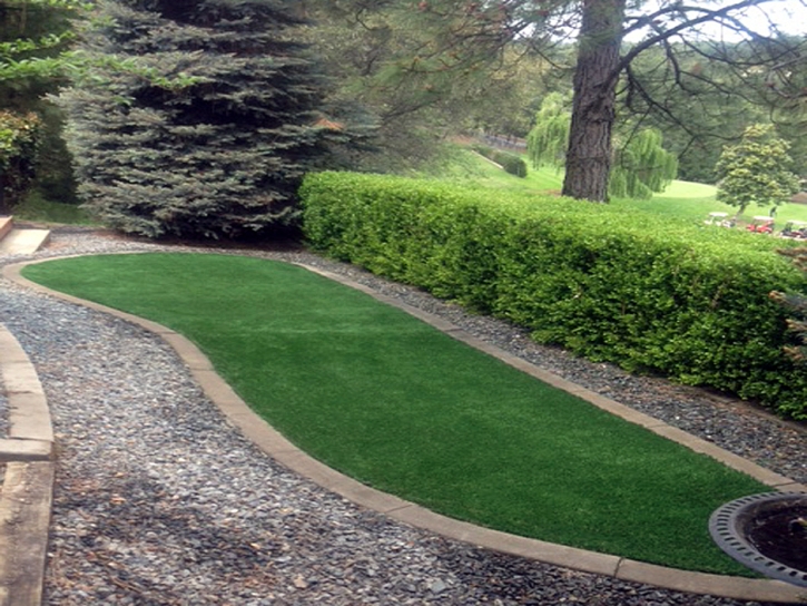 Synthetic Grass Castle Hills Texas Lawn