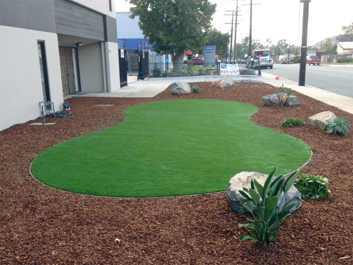 Synthetic Grass China Grove Texas Lawn Commercial Landscape