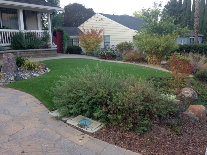 Synthetic Grass Comfort Texas Landscape Front Yard