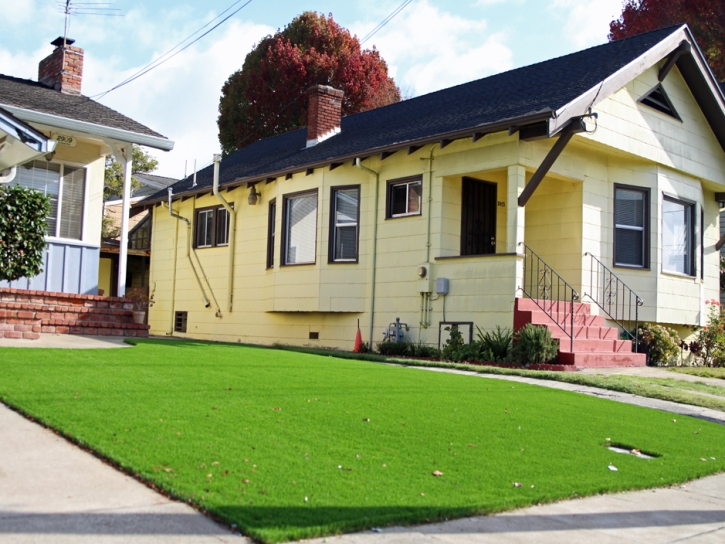 Synthetic Grass Falls City Texas Lawn Front Yard